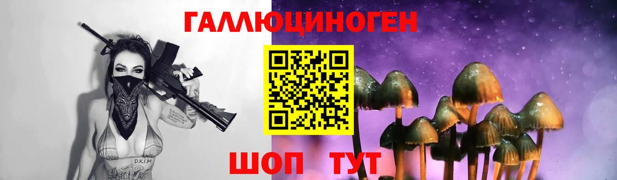 Псилоцибиновые грибы GOLDEN TEACHER  Вход с VPN  Иваново 